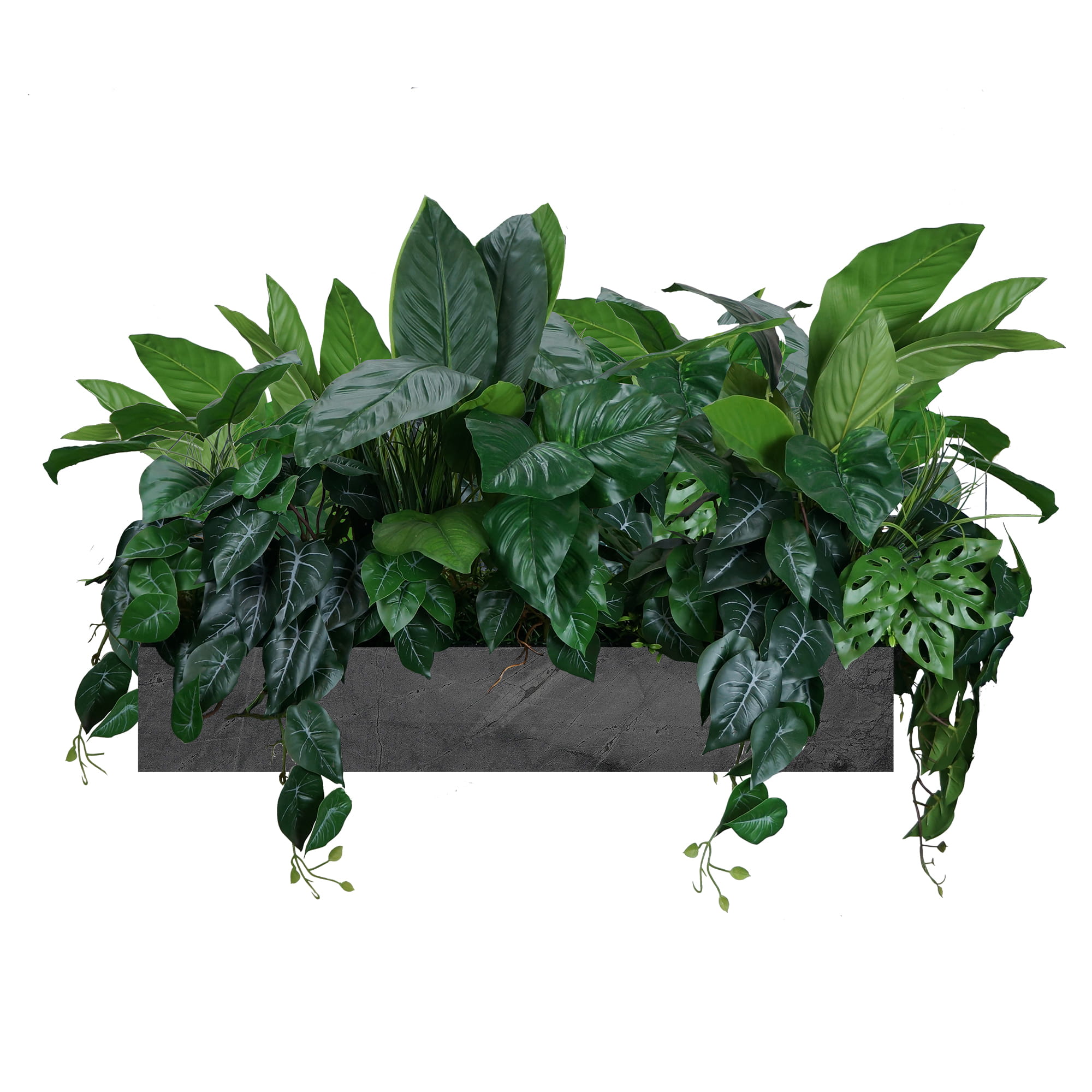 Composition pour le pot Foire Exotique