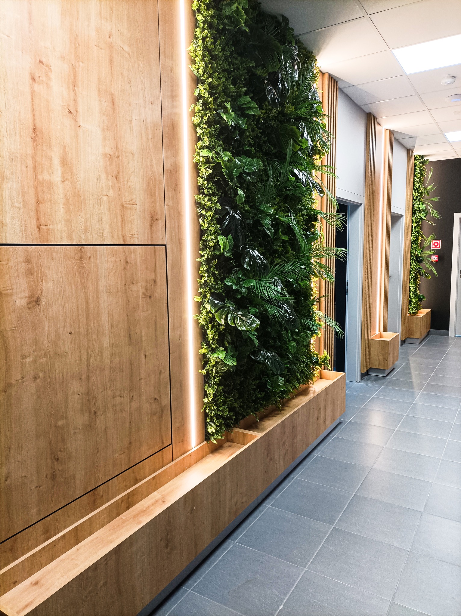 Jardin vertical de La Havane – Green Designers