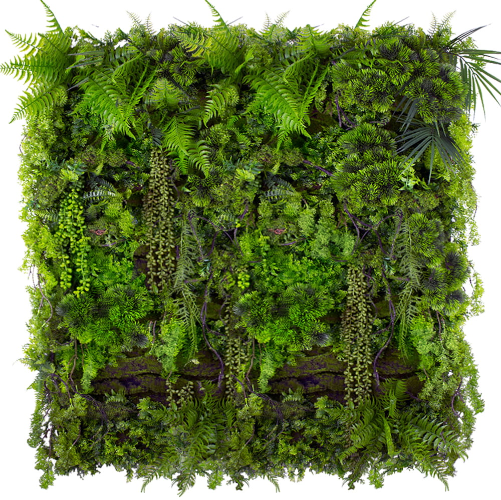 Jardin vertical de pin de montagne – Green Designers