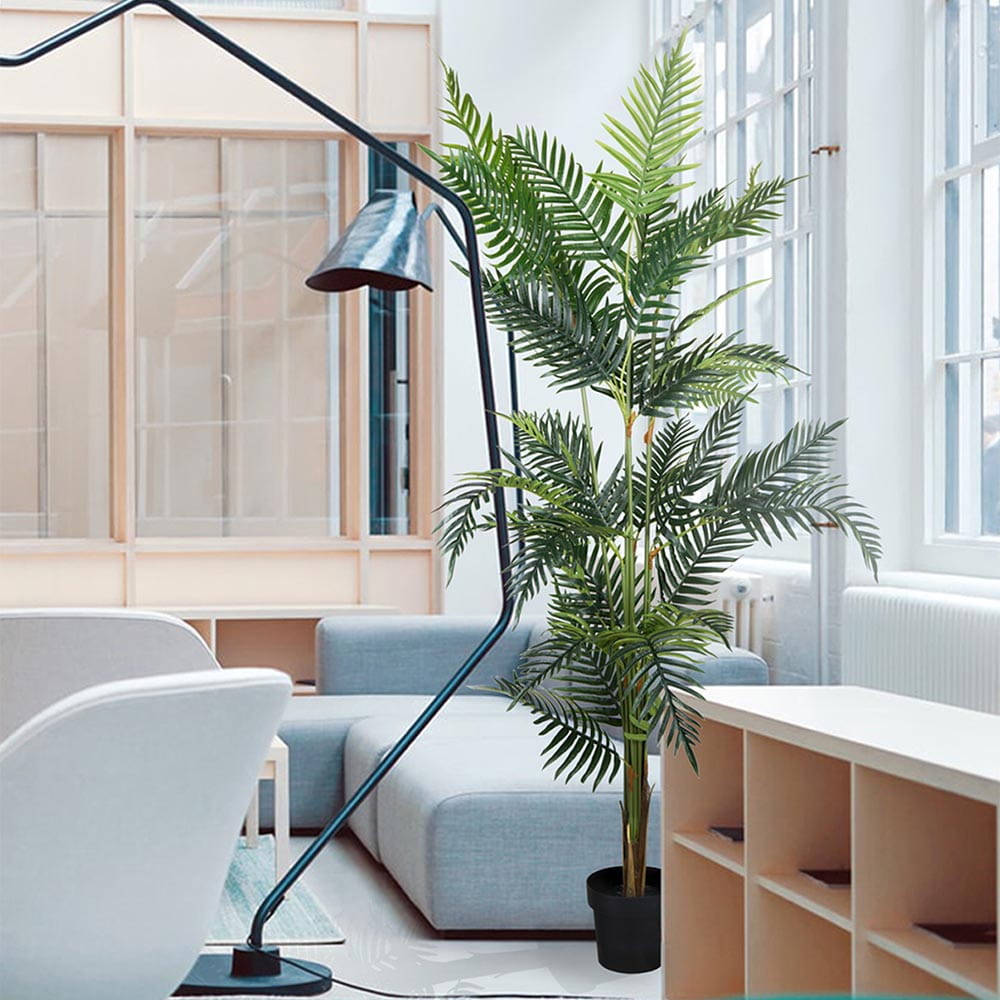 Plante décorative Palmier Lutescens 180 cm – Green Designers