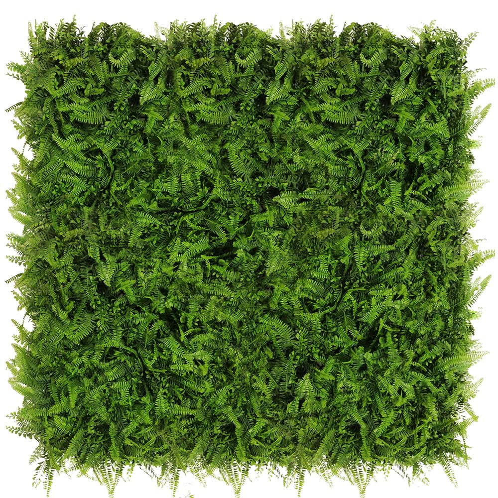 Mur végétal Paprotnik 50x50cm – Green Designers