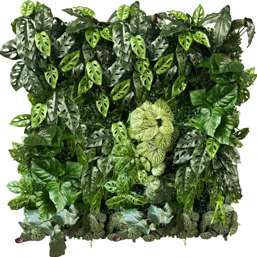 Jardin vertical Funky Monkey – Green Designers