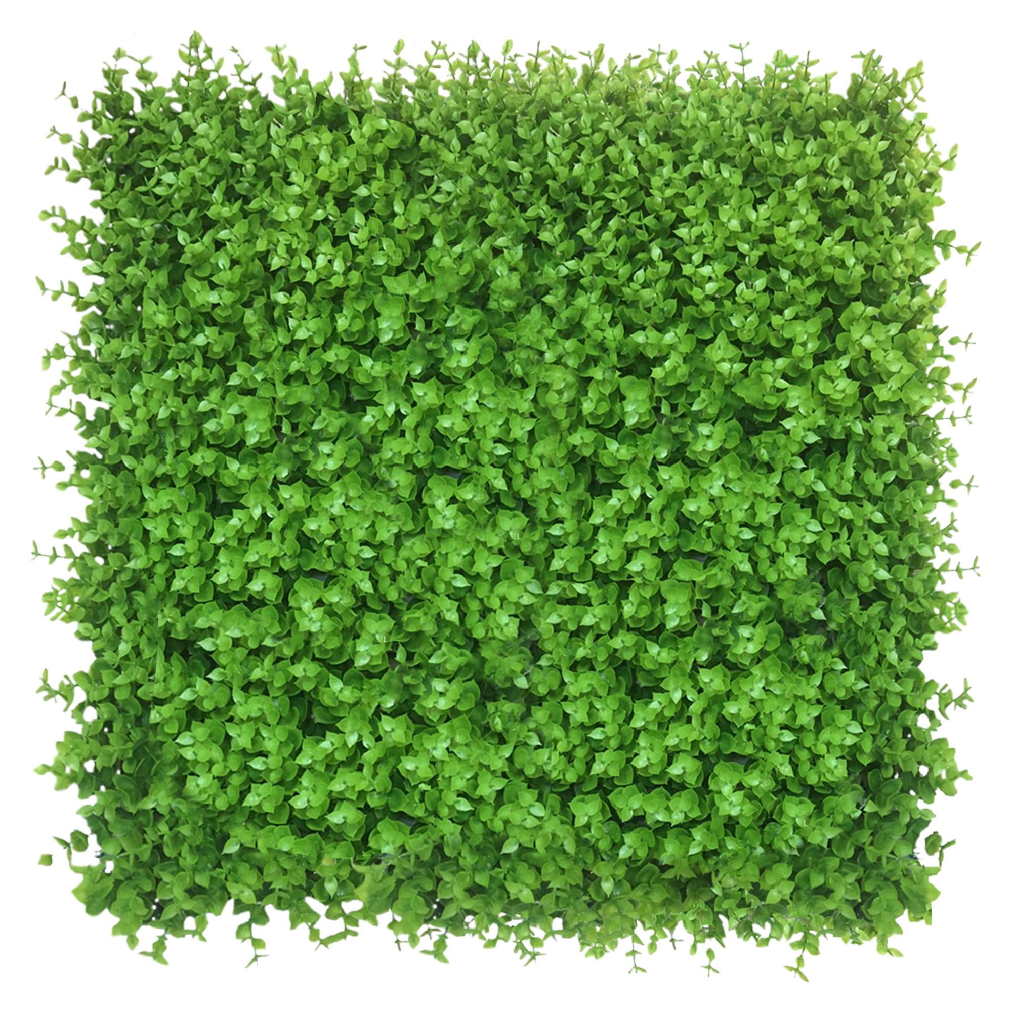 Mur végétal Wielomlecz 50x50cm