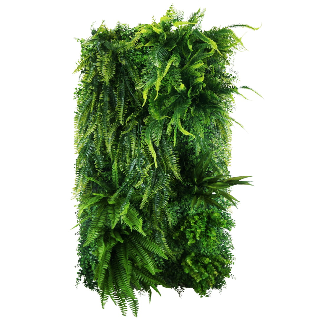 Jardin vertical de fougère facile – Green Designers