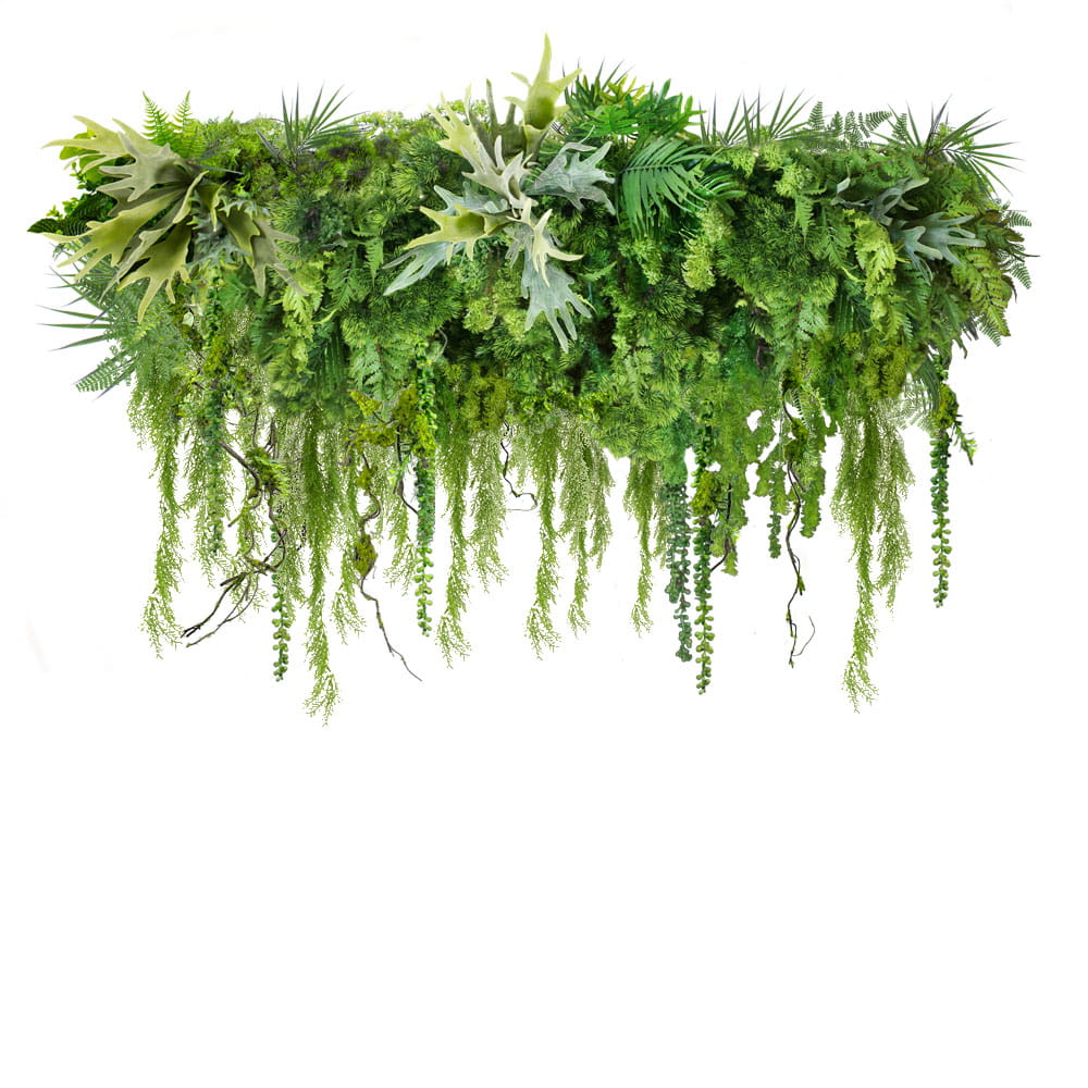 Cerceau à plantes Forest Scent S