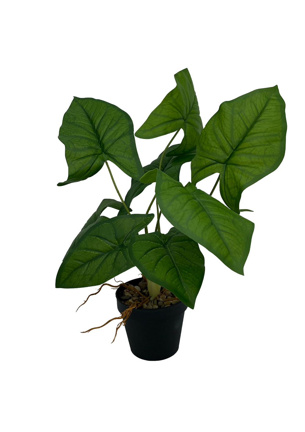 Plante Syngonium artificielle 56 cm – Green Designers