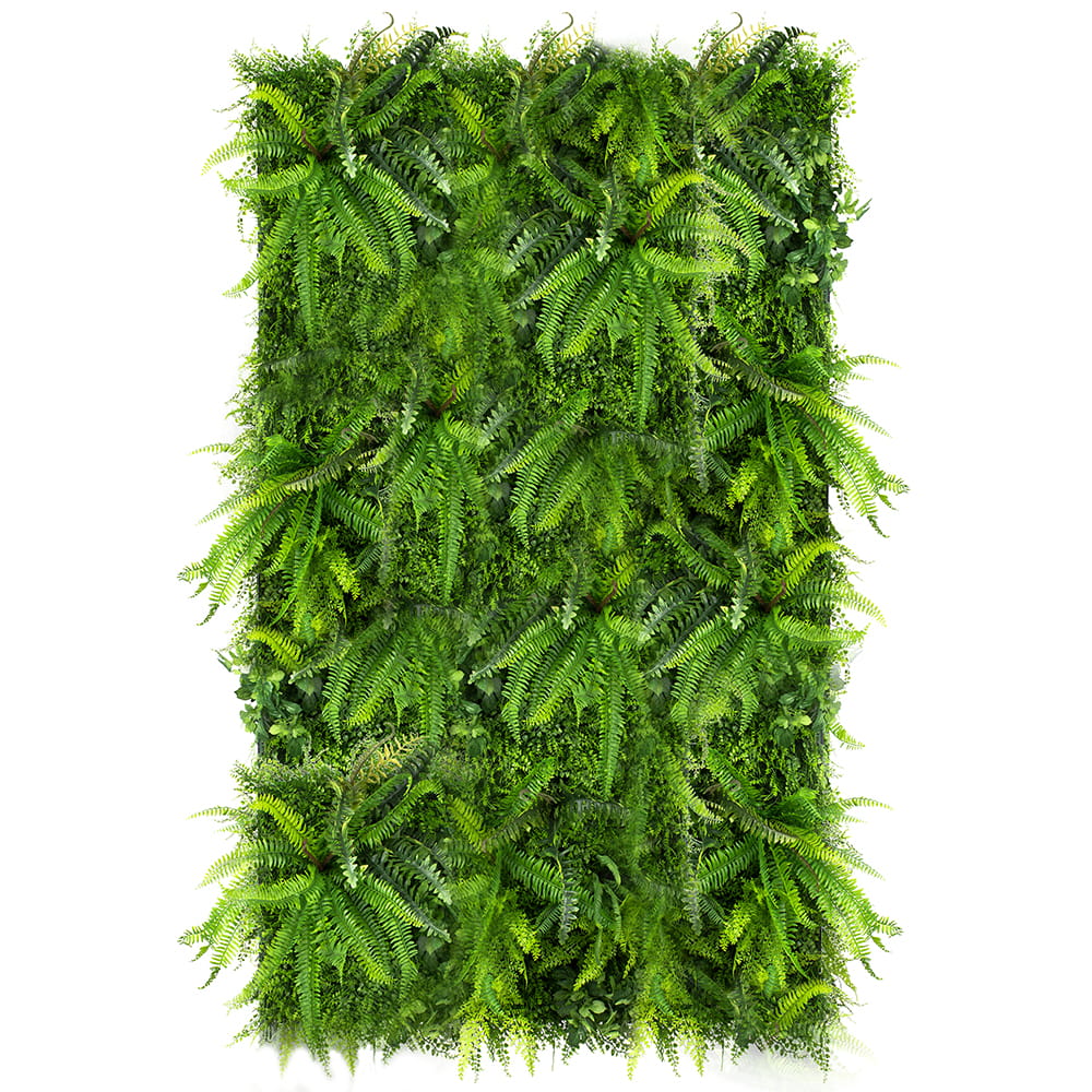 Jardin vertical de fougère sauvage – Green Designers