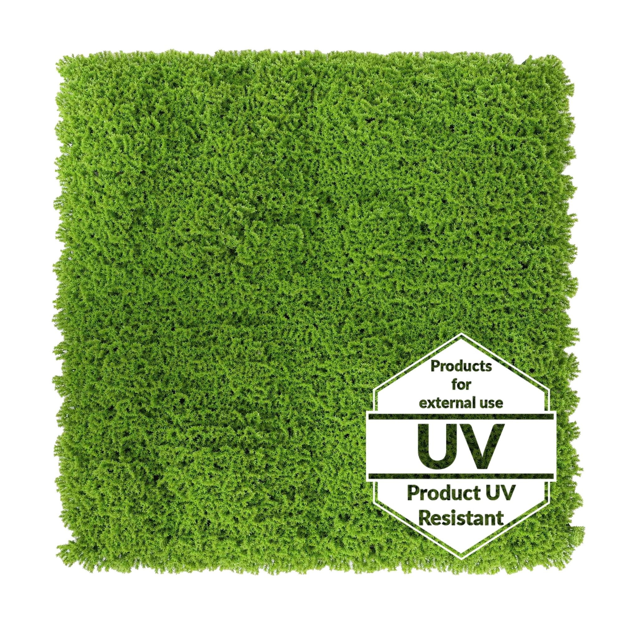 Tapis vert artificiel Runowiec UV 50x50cm – Green Designers