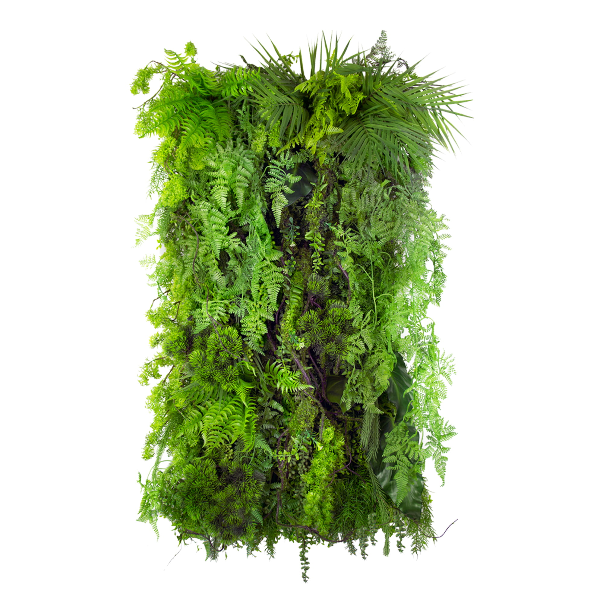 Jardin vertical Limba Wilderness