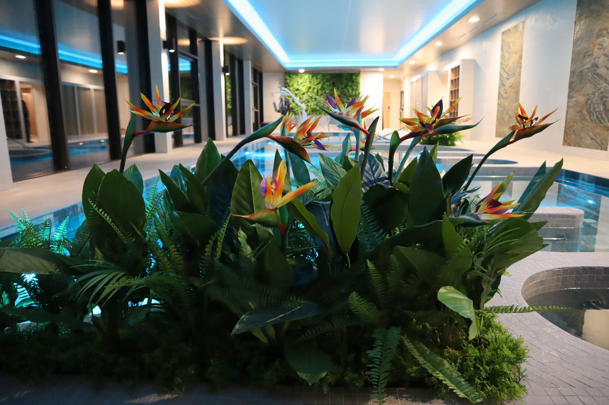 Insert végétal pour le pot Sunrise – Green Designers