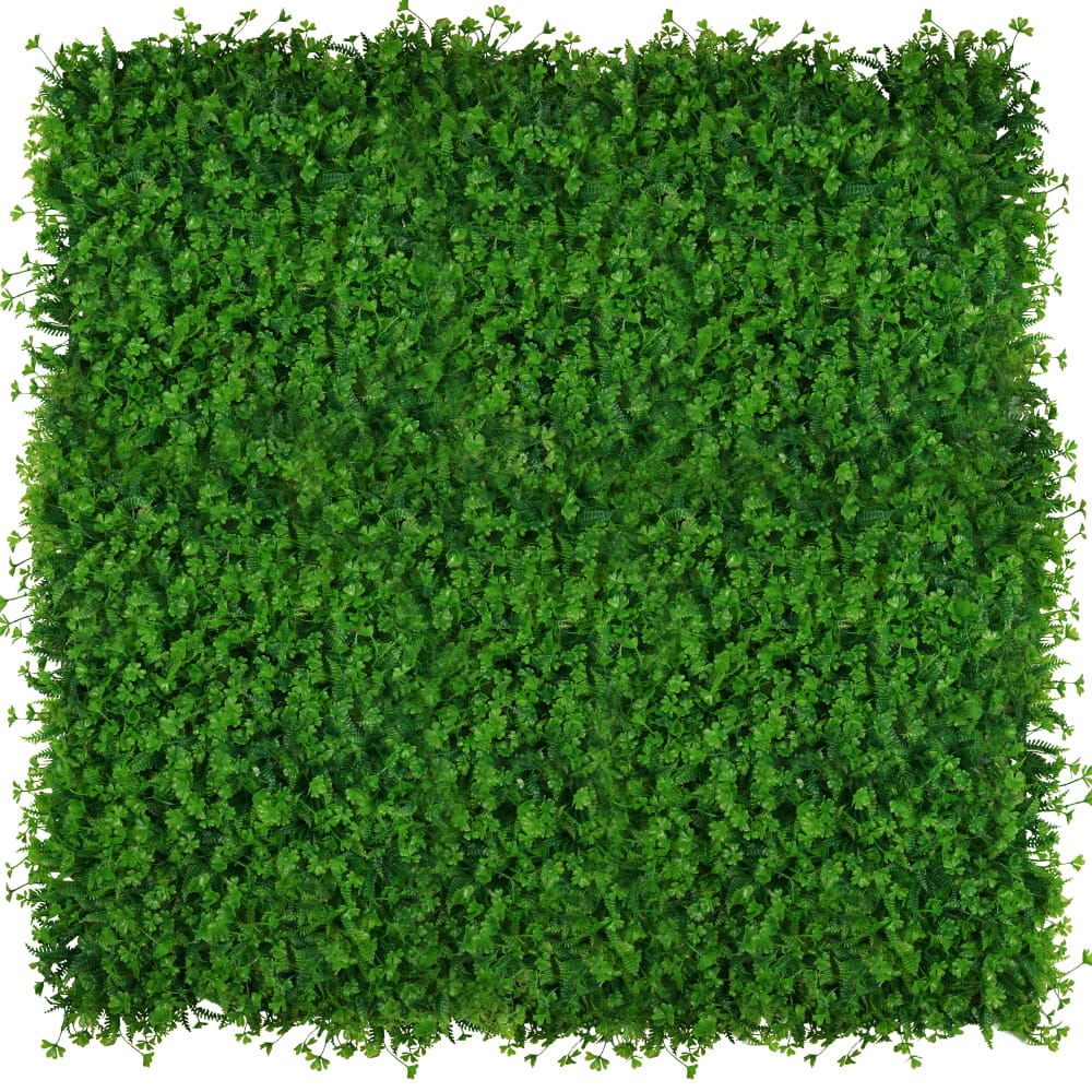 Mur végétal Trèfle 50x50cm – Green Designers