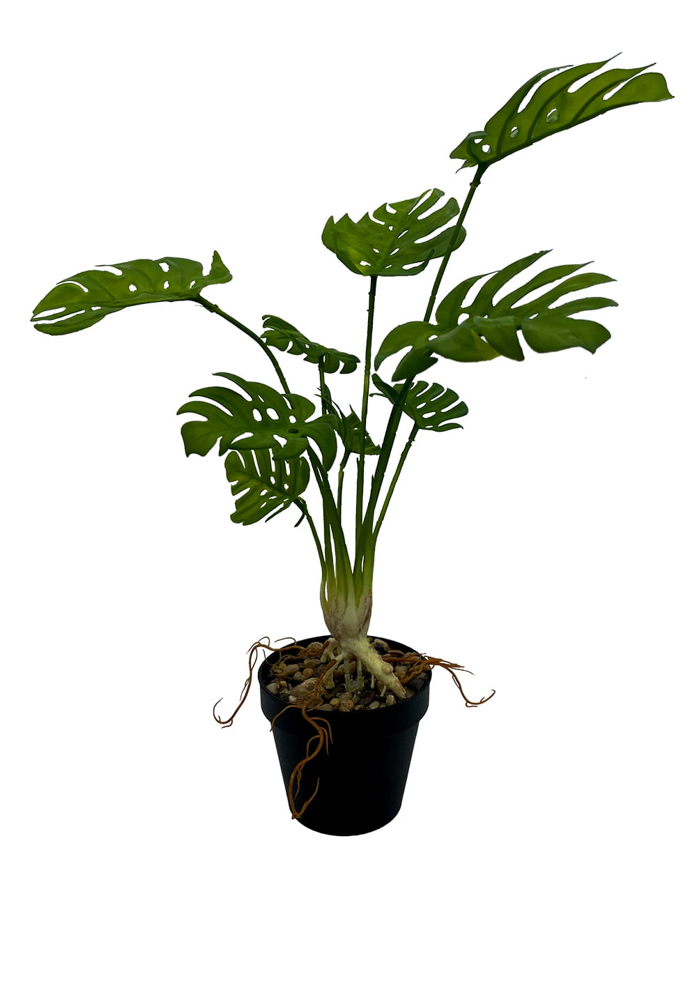 Plante Monstera artificielle 53 cm – Green Designers