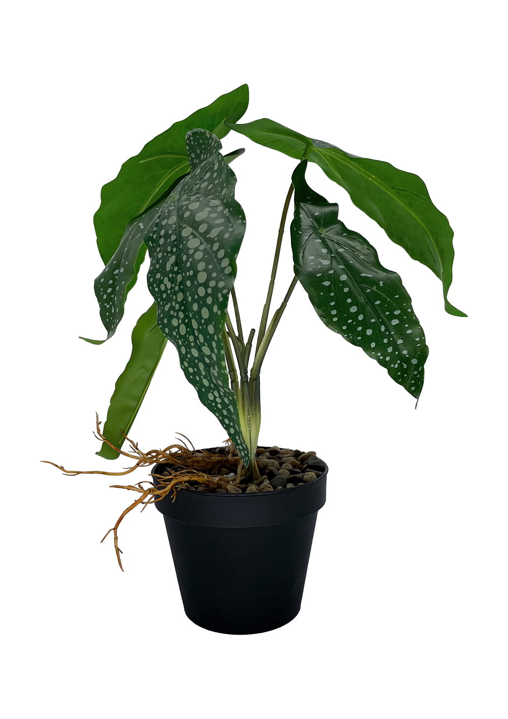 Plante Bégonia artificielle 26 cm – Green Designers