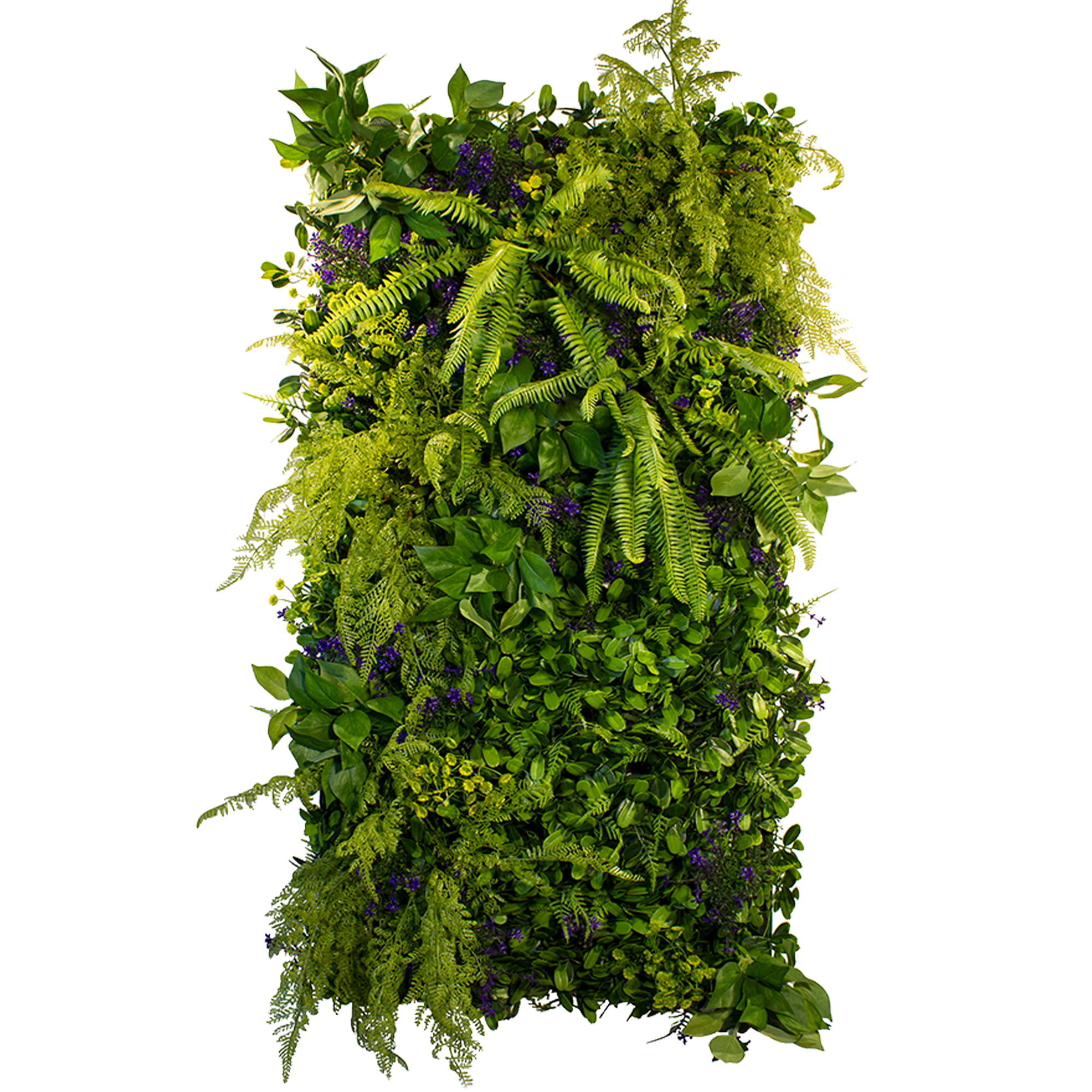 Jardin vertical Secret Garden
