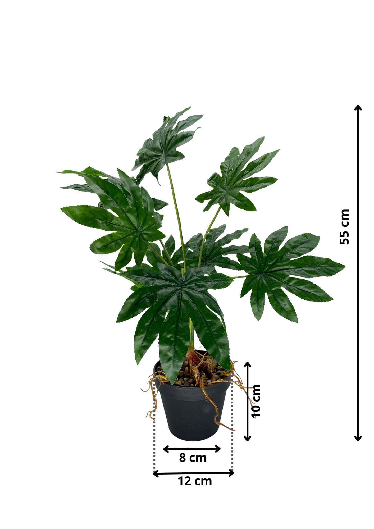 Plante Aralia artificielle 55 cm – Green Designers