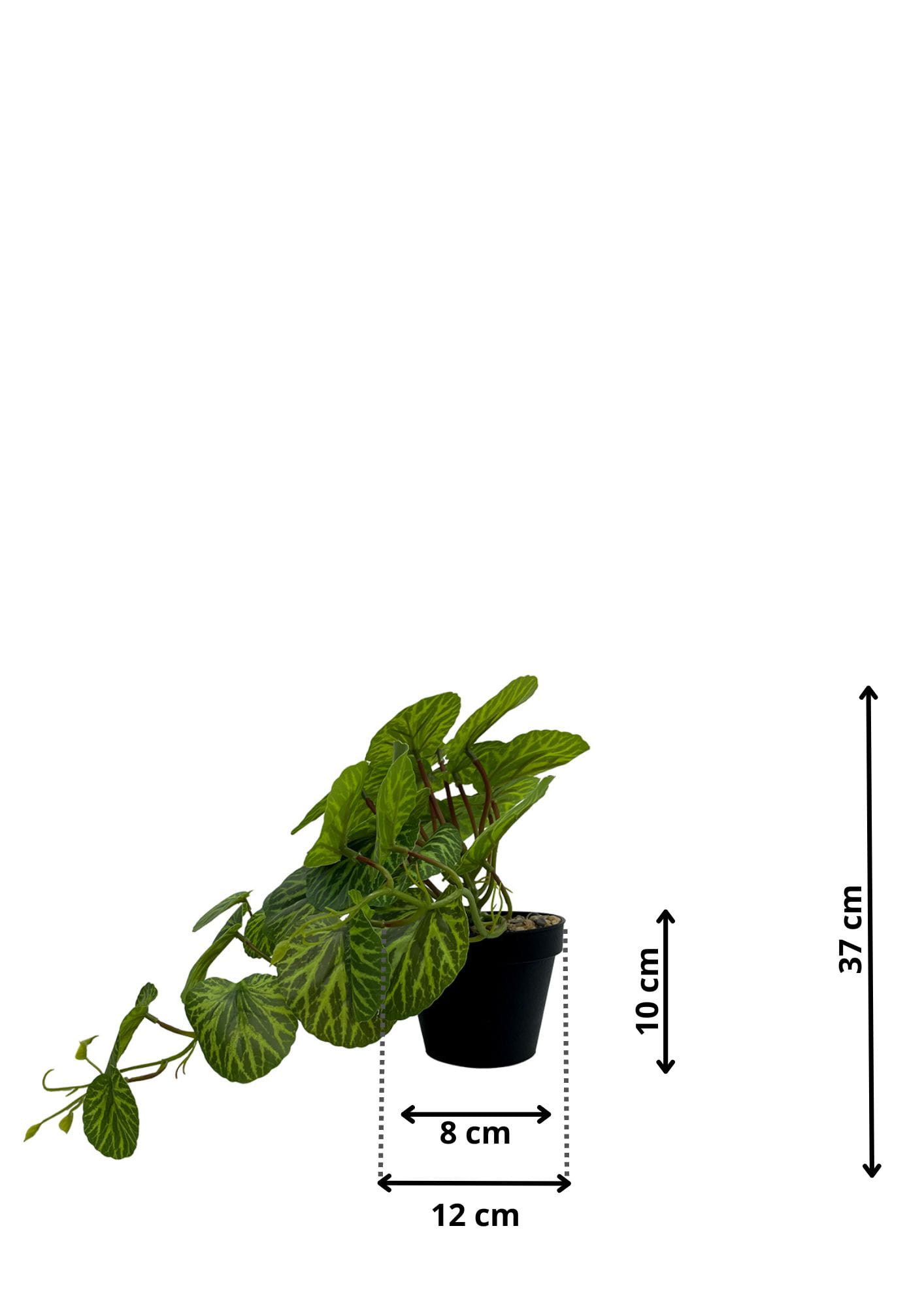 Plante Pilea artificielle 37 cm – Green Designers