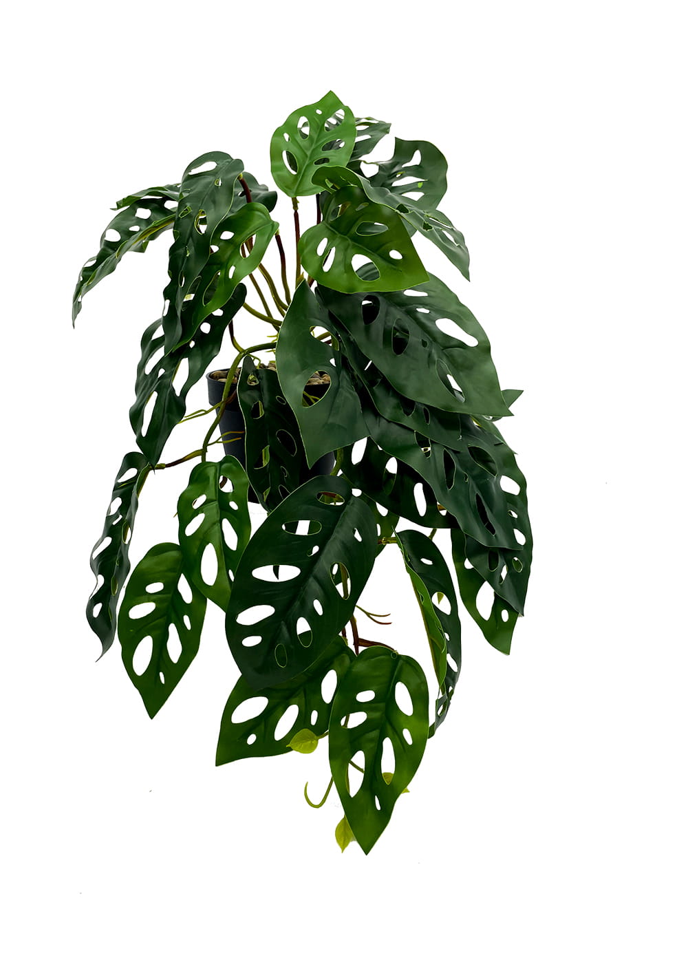 Plante artificielle Monstera Singe 44 cm – Green Designers