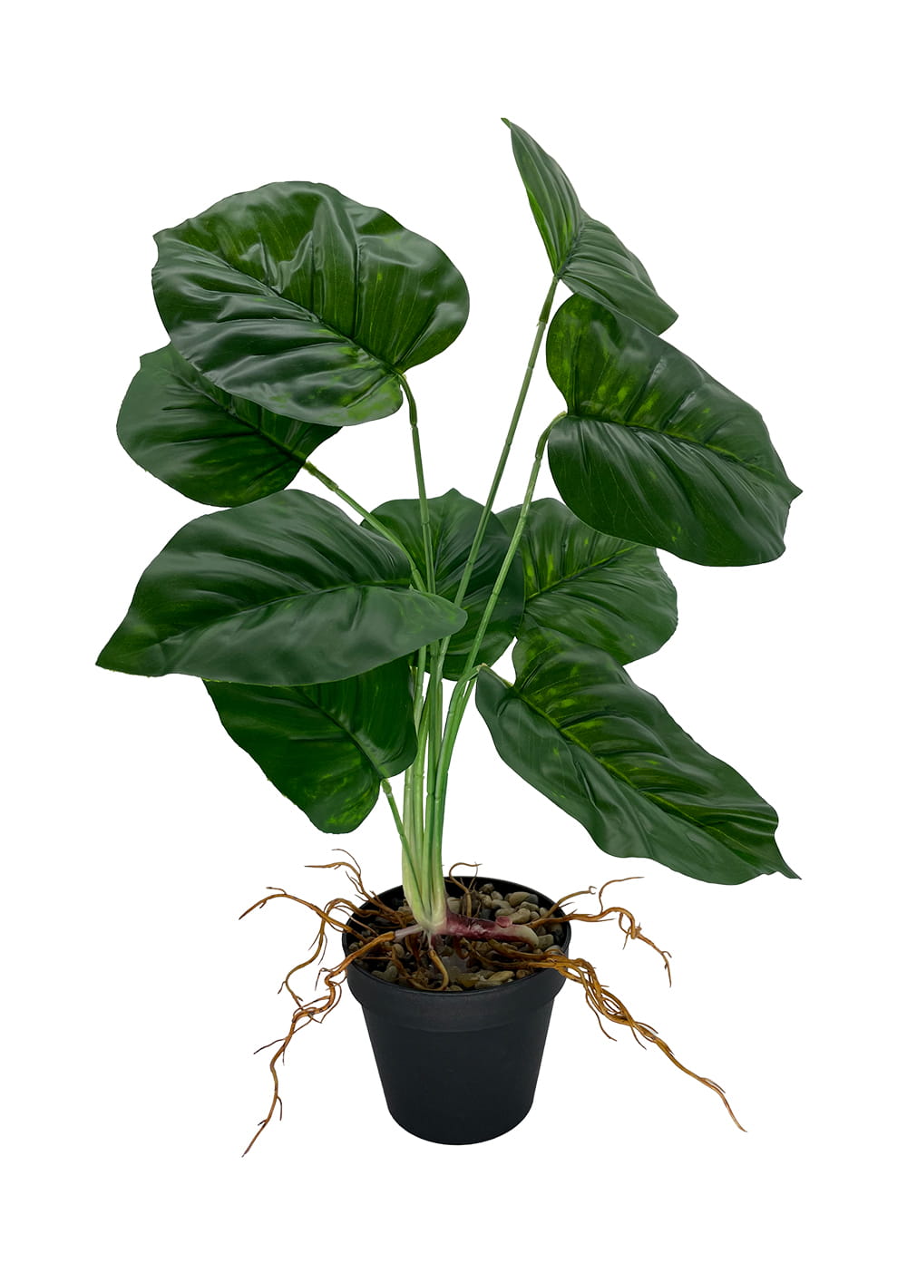 Plante d'arrow-root artificielle 44 cm – Green Designers