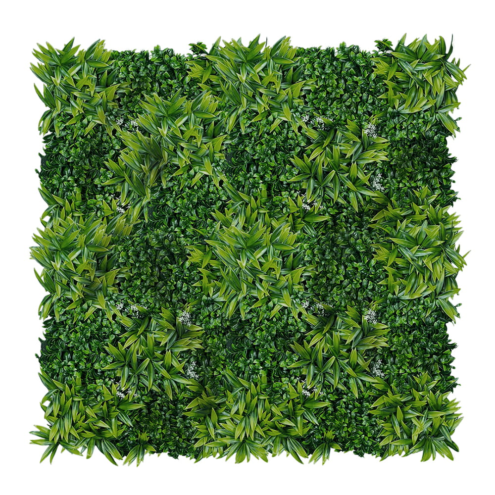 Mur végétal Citronnier 50x50cm – Green Designers