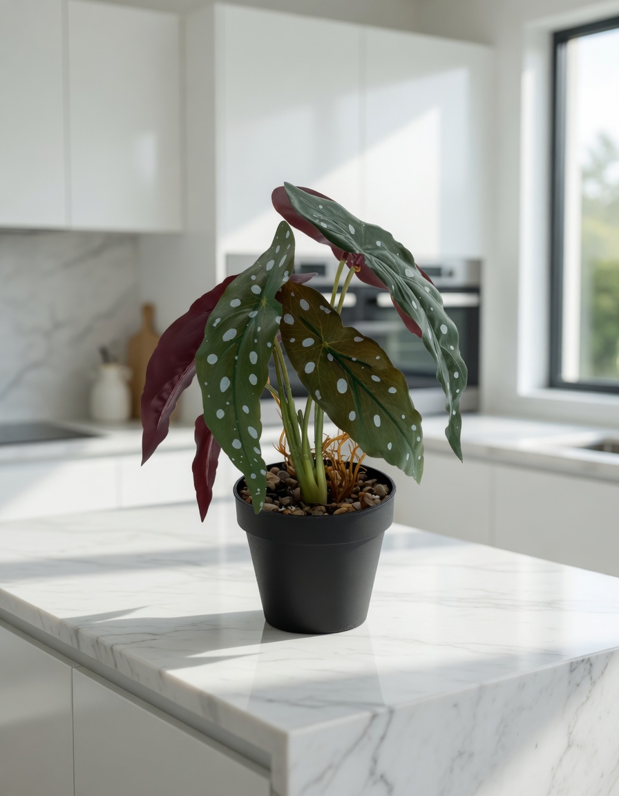 Plante artificielle Bégonia Corail 36 cm – Green Designers