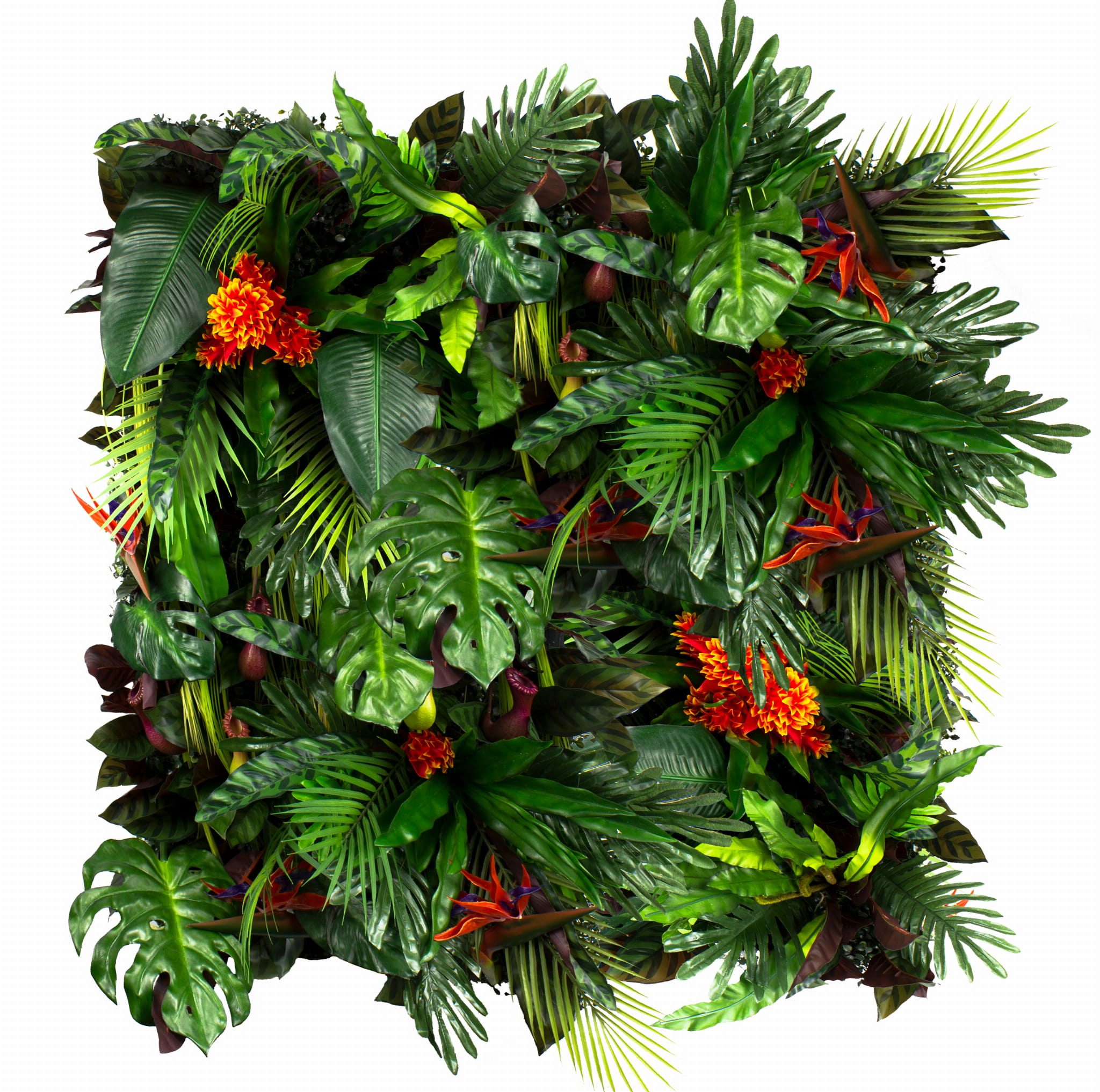 Jardin vertical de colibri – Green Designers