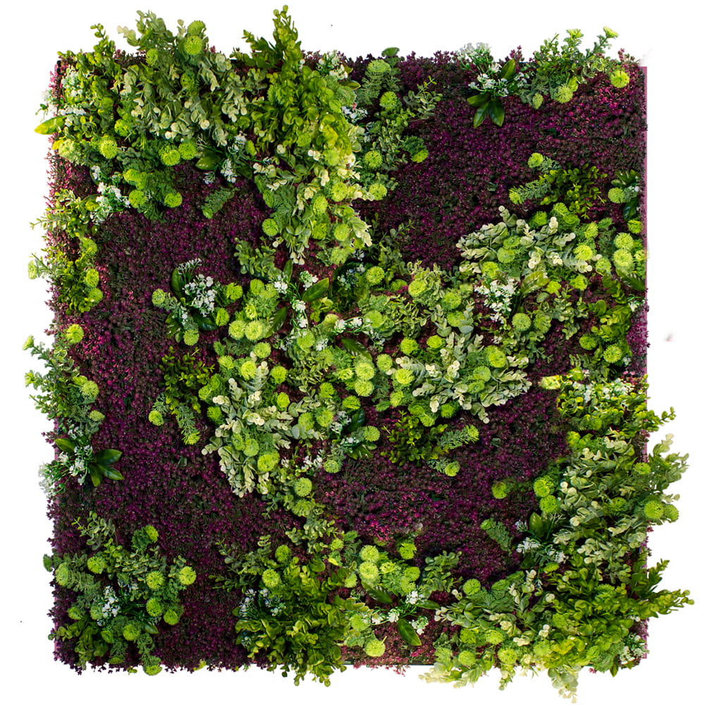 Jardin vertical Purple Haze – Green Designers