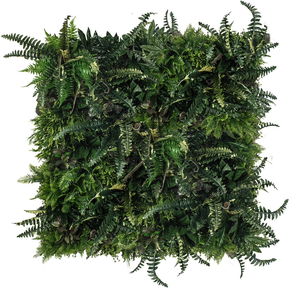 Jardin vertical de forêt tropicale – Green Designers