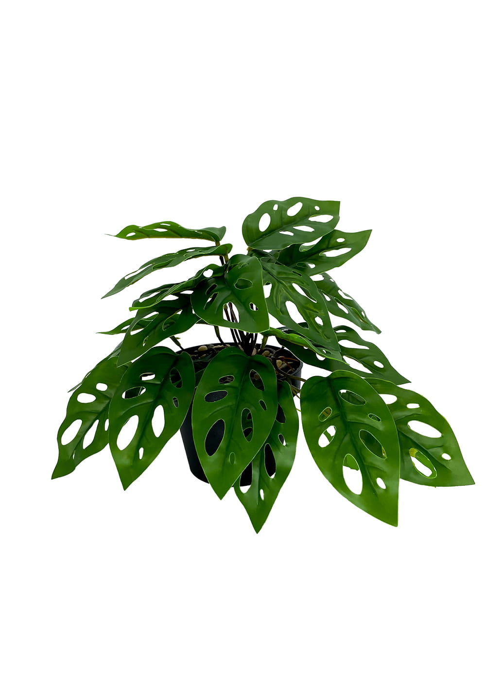 Plante artificielle Monstera Singe 25 cm – Green Designers
