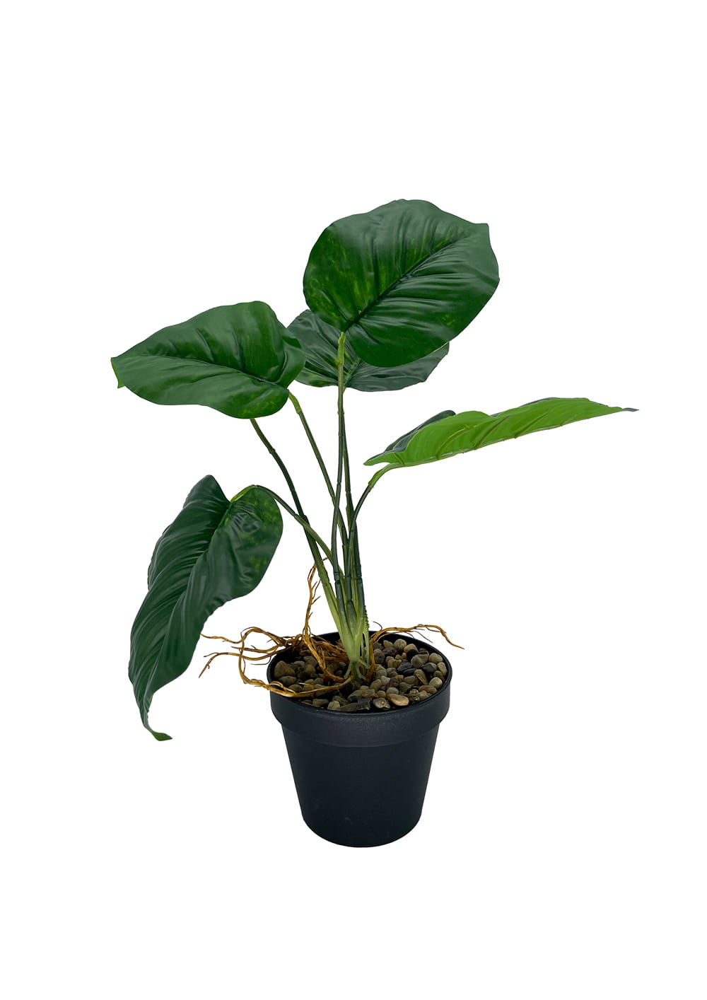 Plante d'arrow-root artificielle 36 cm – Green Designers