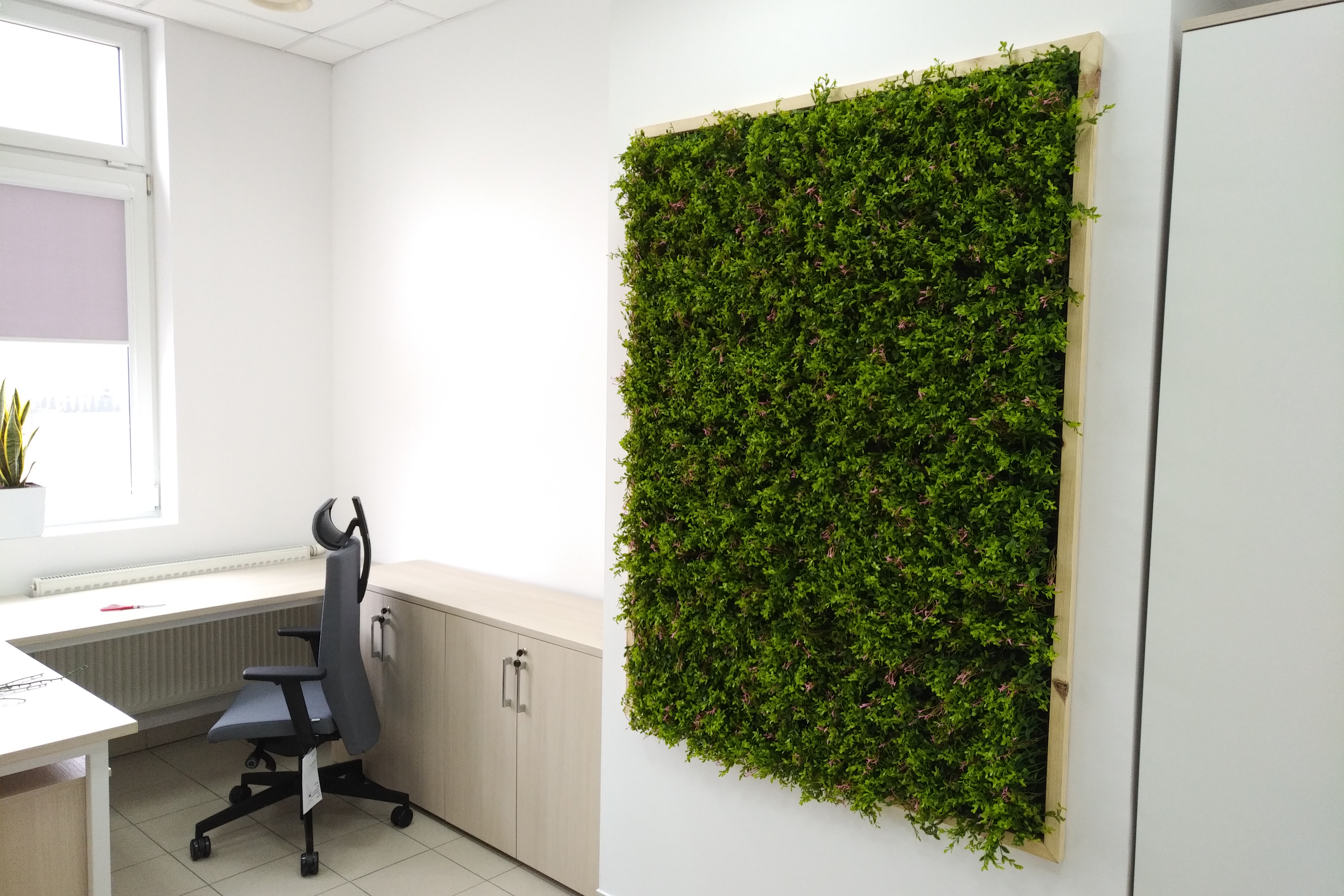 Mur végétal Fumaria 50x50cm – Green Designers