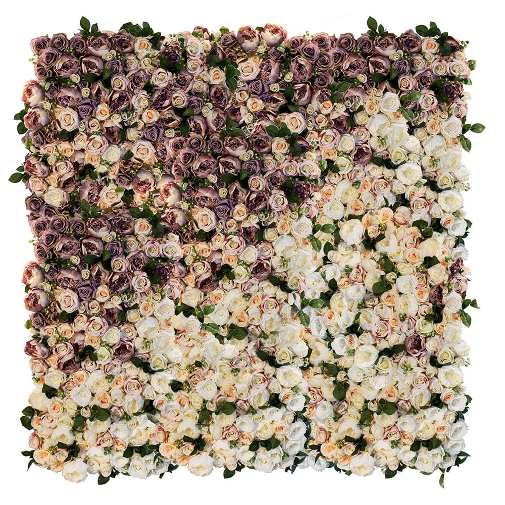 Mur de fleurs avec roses Majesté – Green Designers