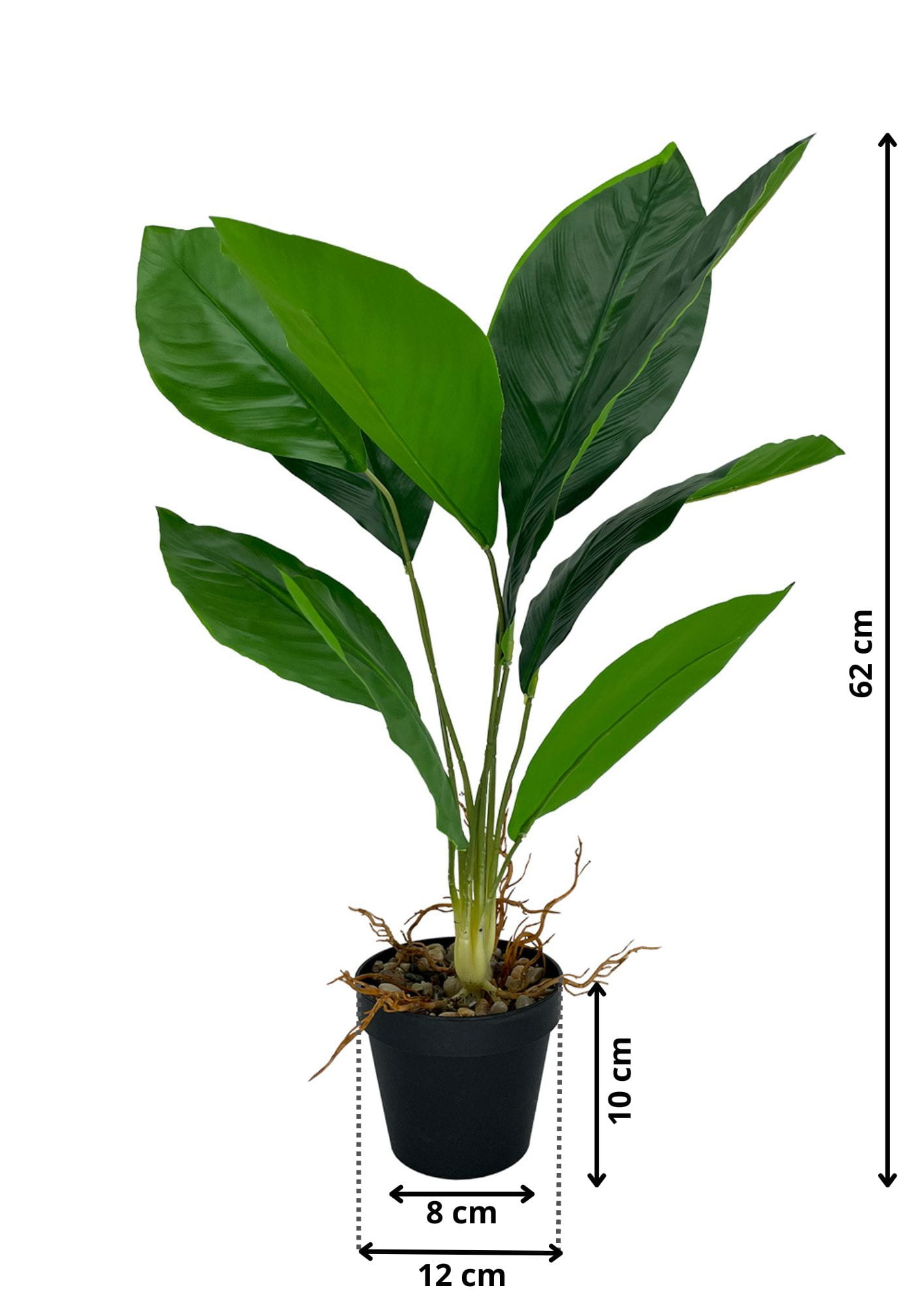 Plante artificielle Aspidistra 62 cm – Green Designers