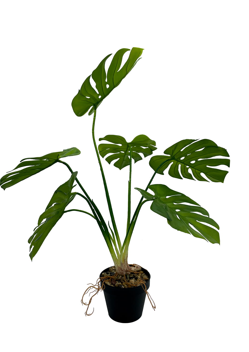 Plante Monstera artificielle 65 cm – Green Designers