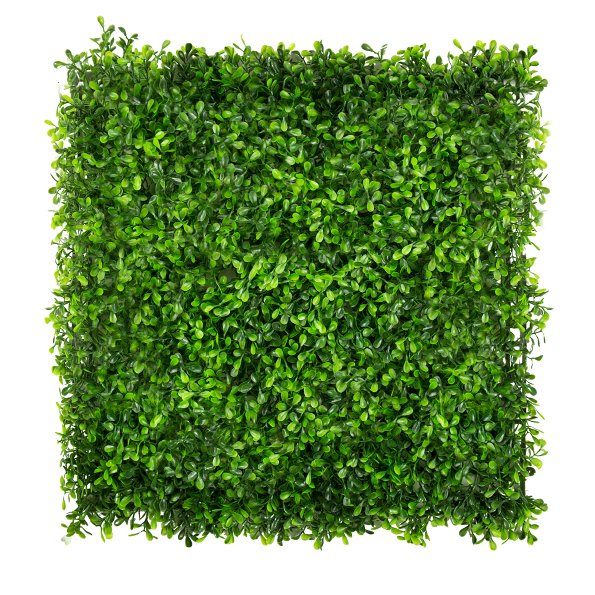 Mur végétal Vert Millepertuis 50x50cm