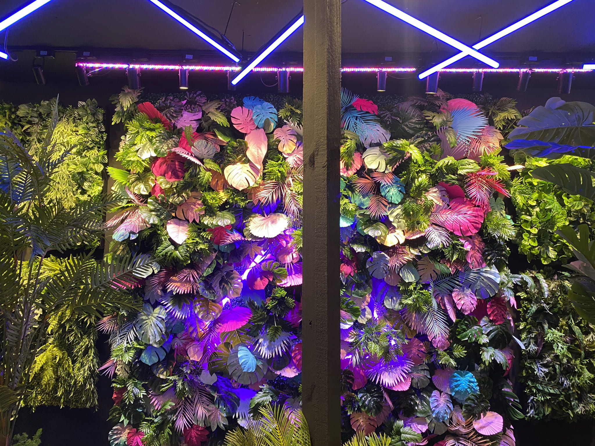 Jardin vertical Mamba – Green Designers