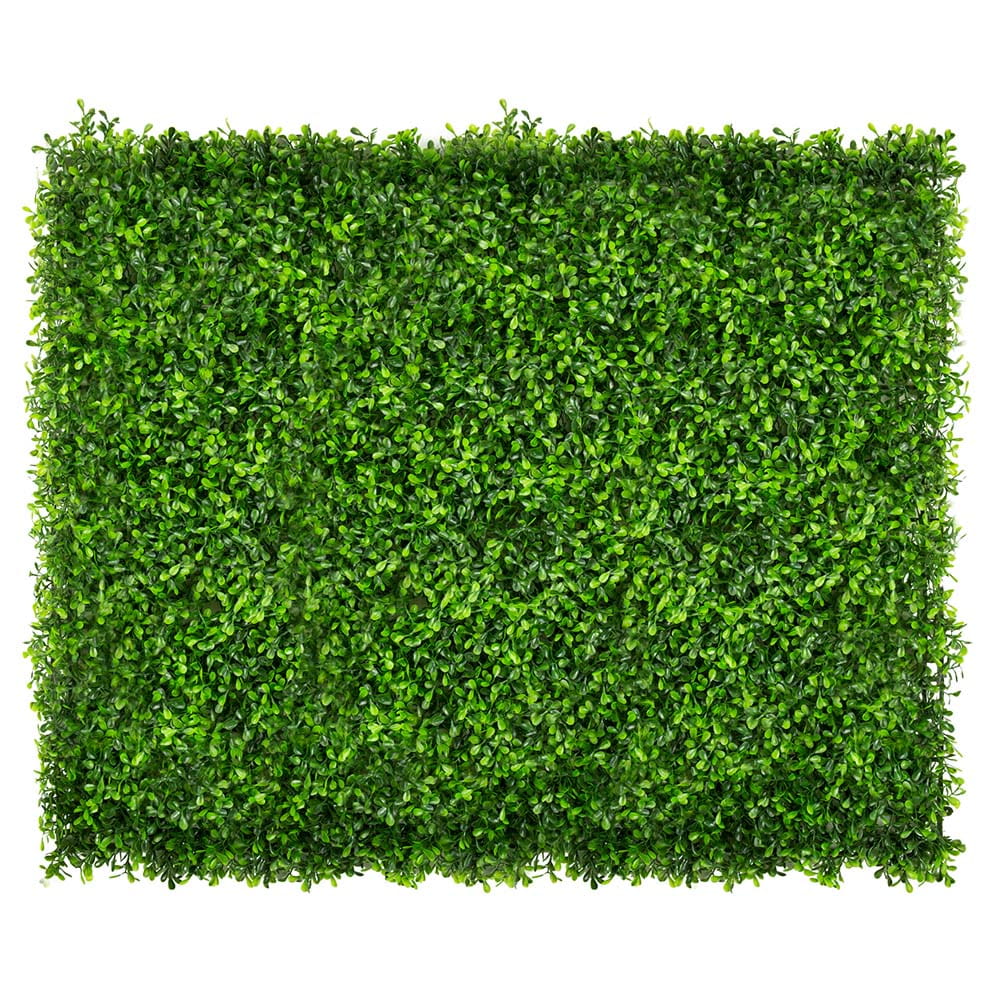 Mur végétal Vert Millepertuis 50x50cm – Green Designers
