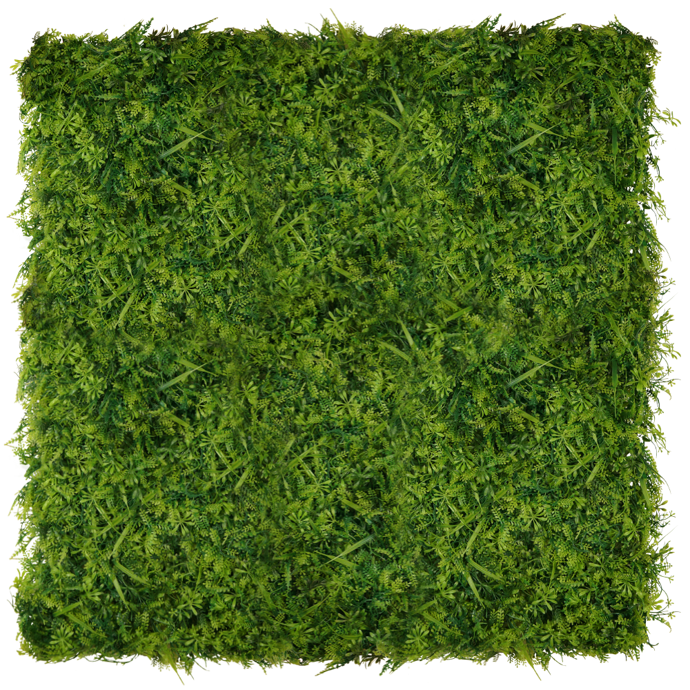 Mur végétal Wronóg 50x50cm – Green Designers