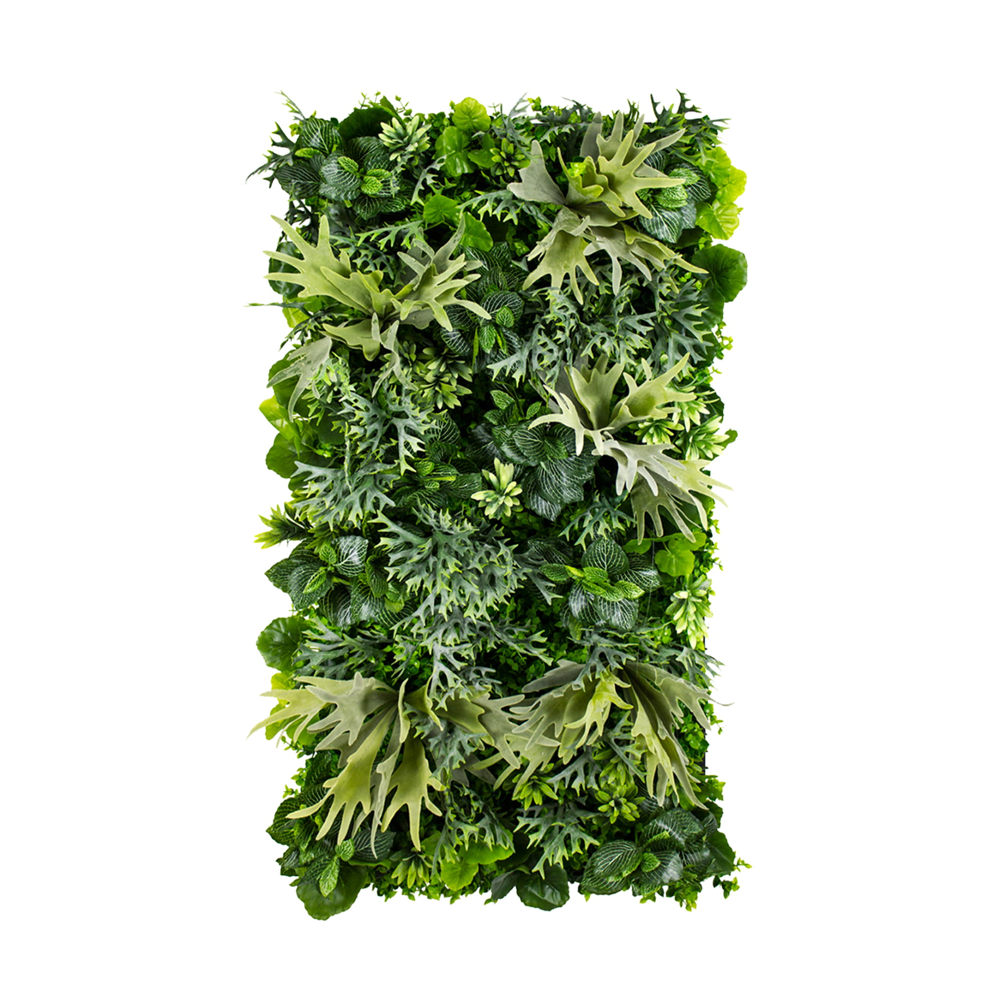 Jardin vertical en cornes d'orignal