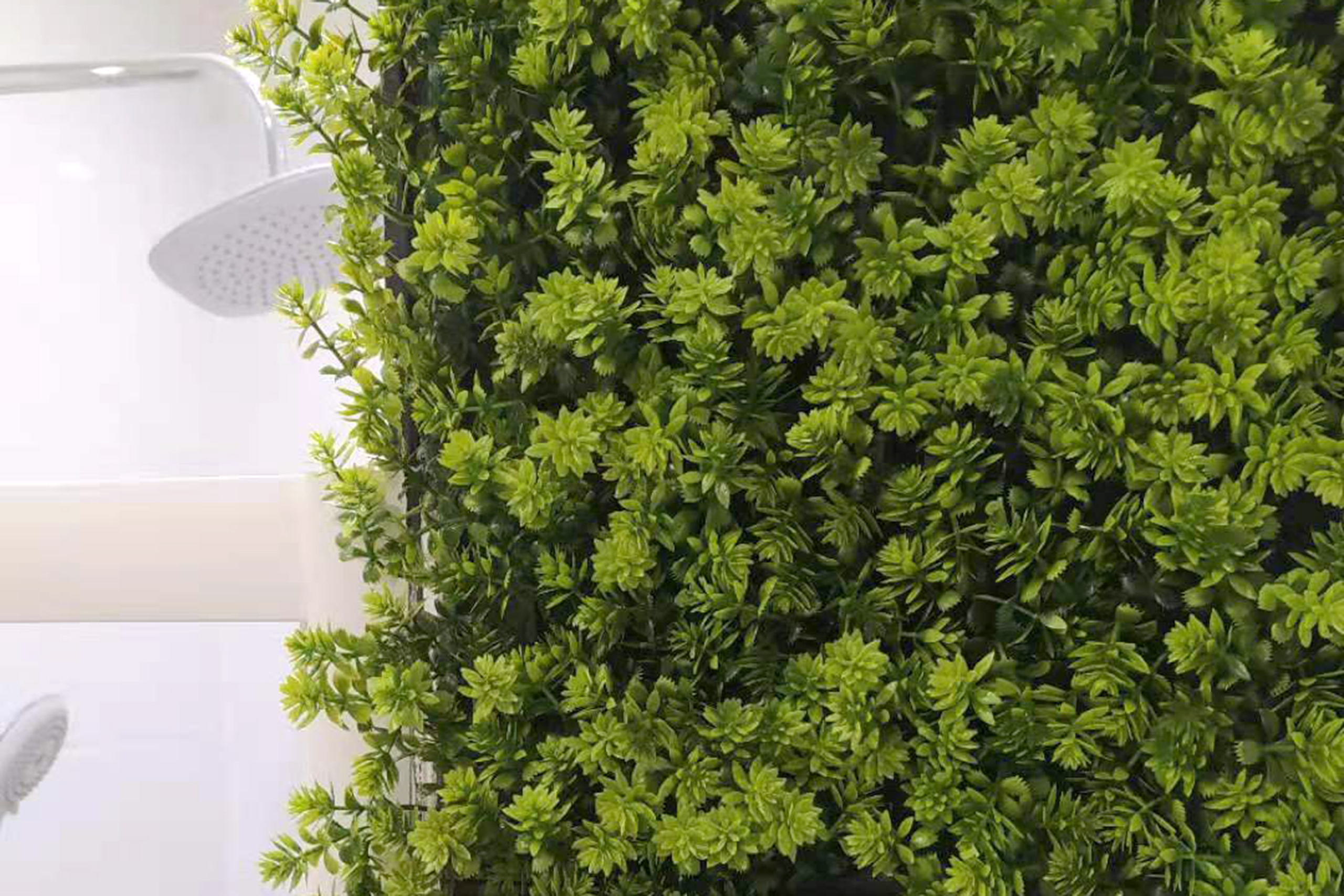 Mur végétal Chmiel 50x50cm – Green Designers