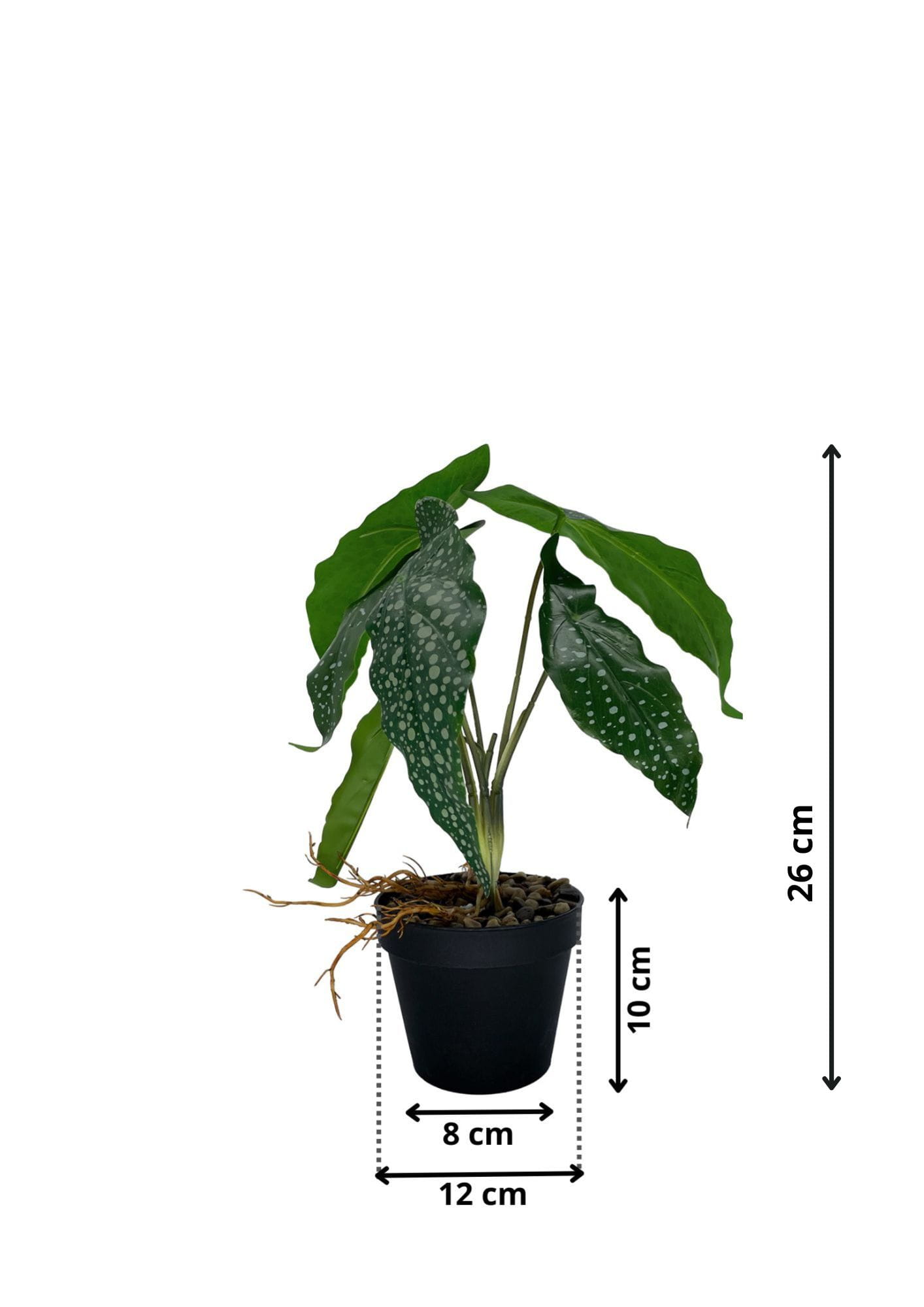 Plante Bégonia artificielle 26 cm – Green Designers