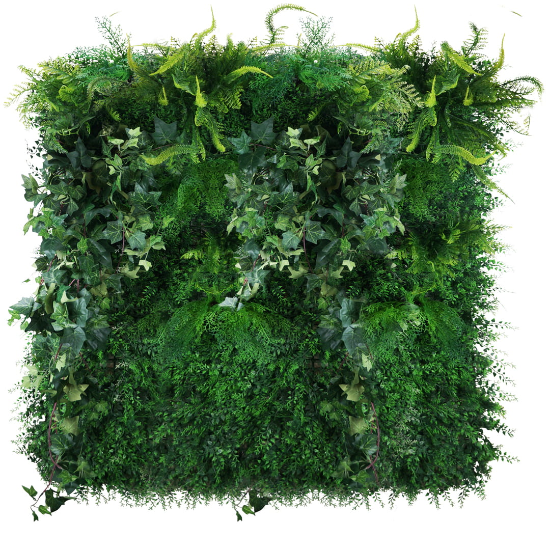 Jardin vertical sombre et moussu – Green Designers
