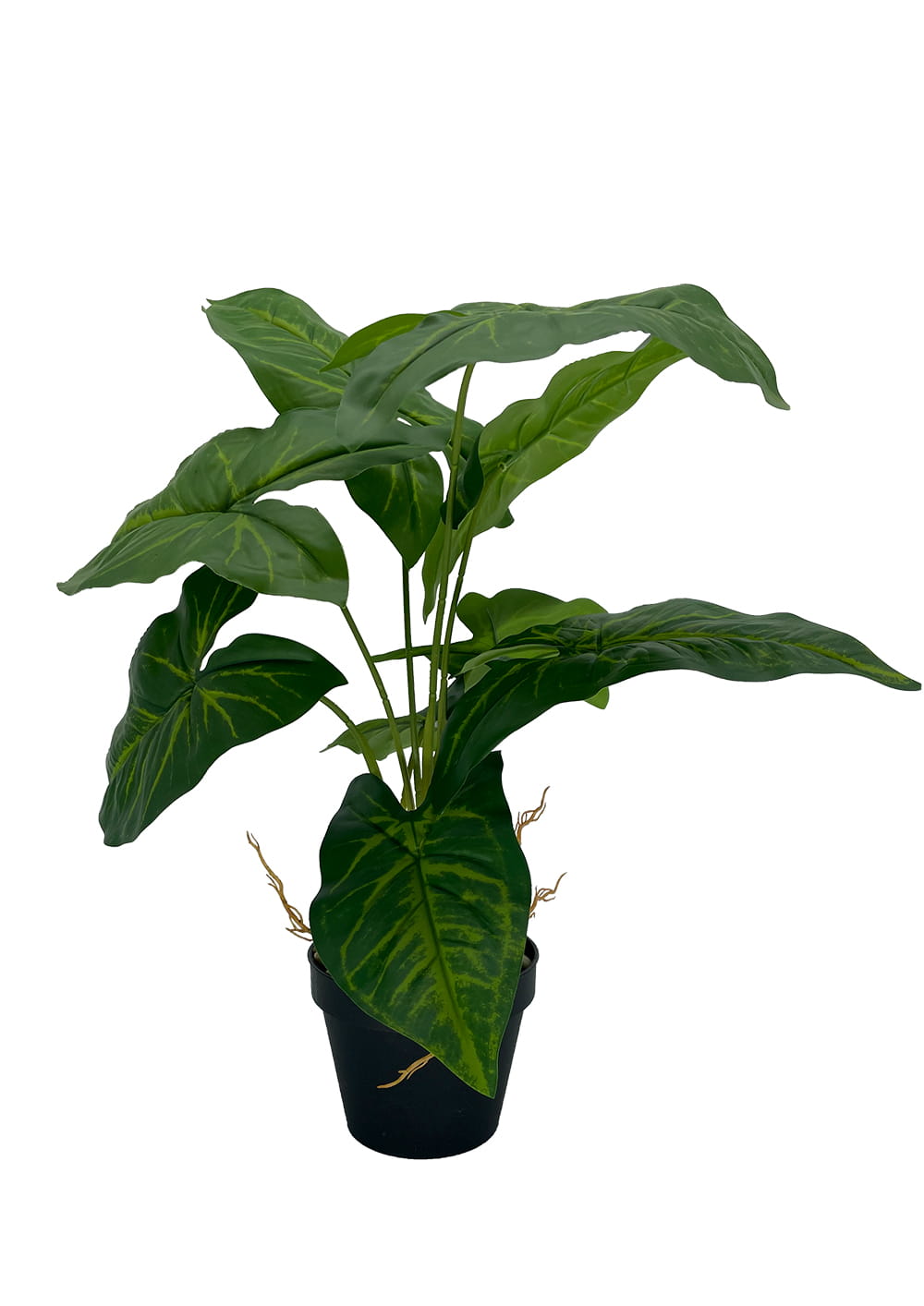 Plante Syngonium artificielle 50 cm – Green Designers