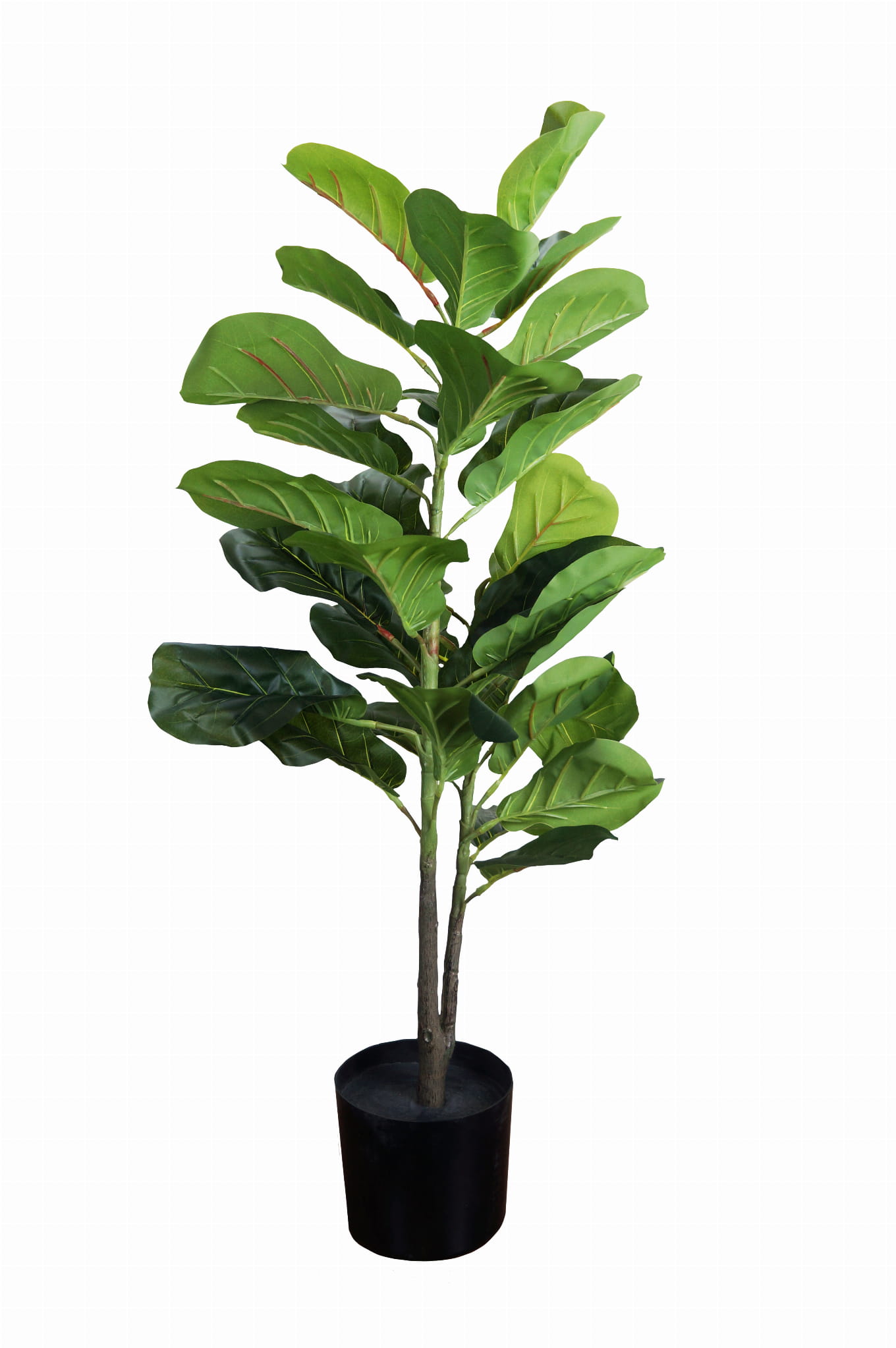 Plante décorative Ficus 90cm – Green Designers
