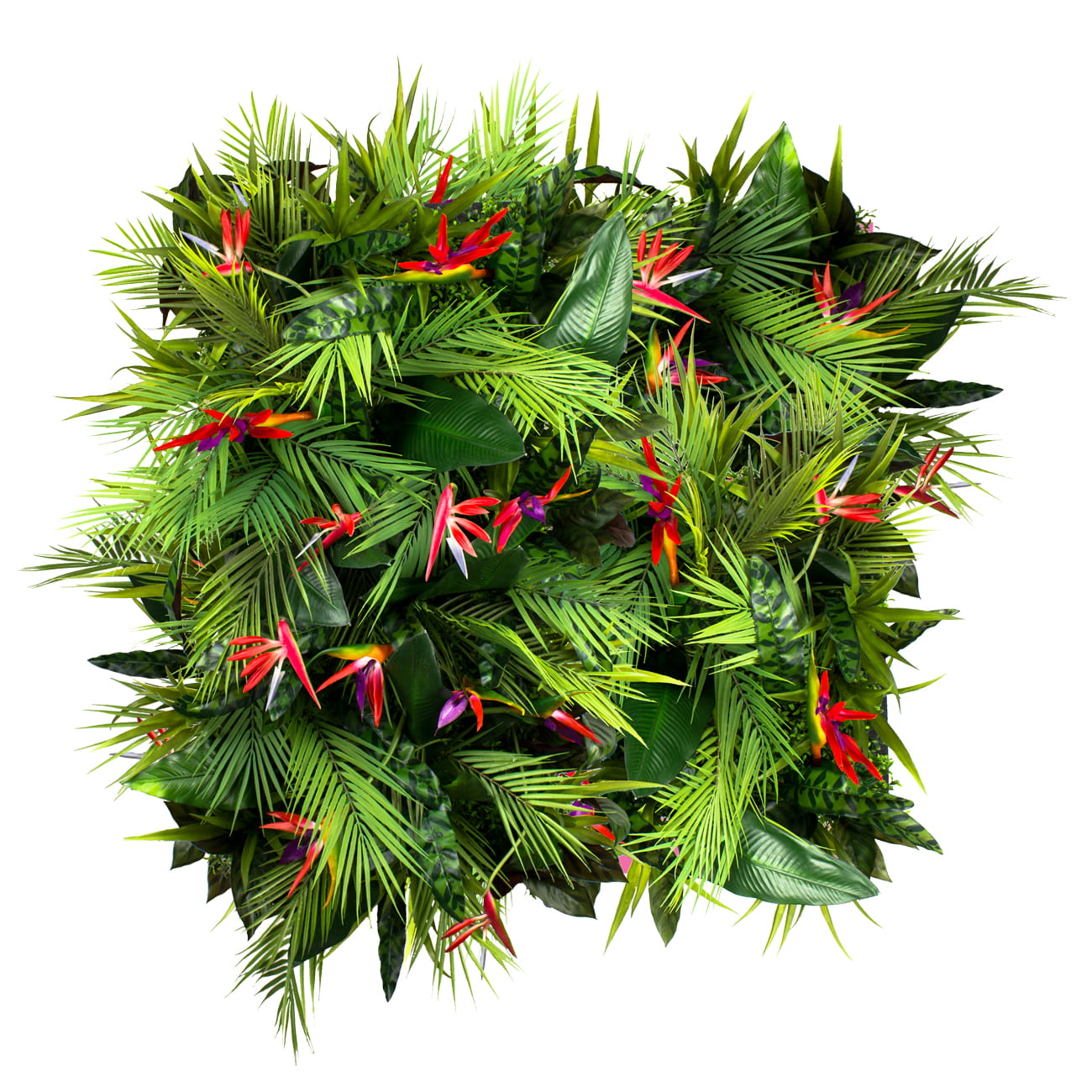 Jardin vertical fruit de la passion – Green Designers