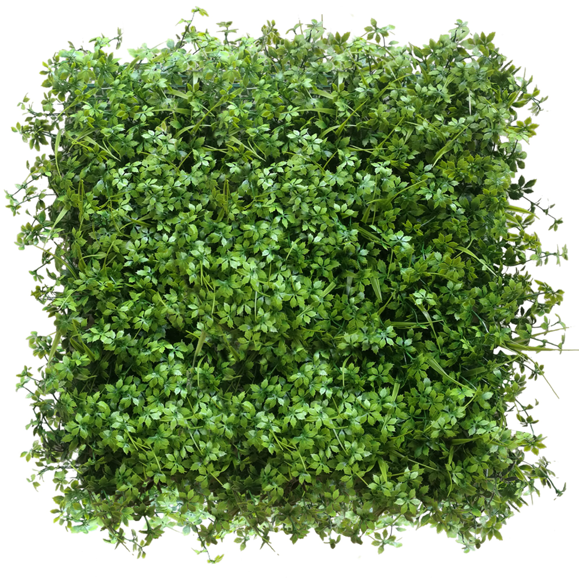Mur végétal Lavage 50x50cm