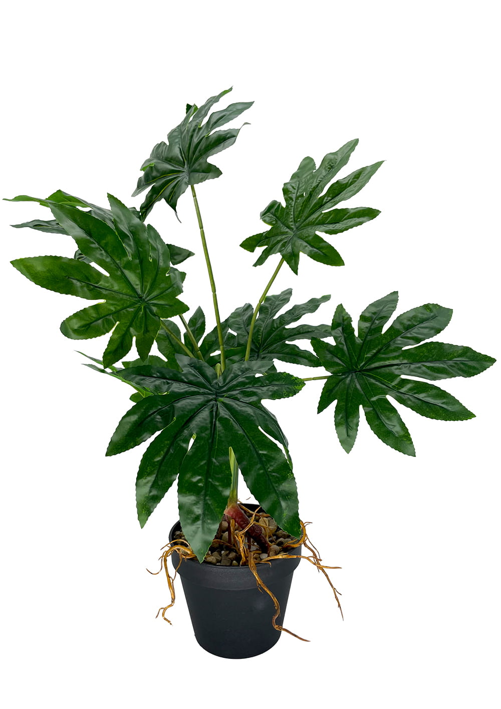 Plante Aralia artificielle 55 cm – Green Designers