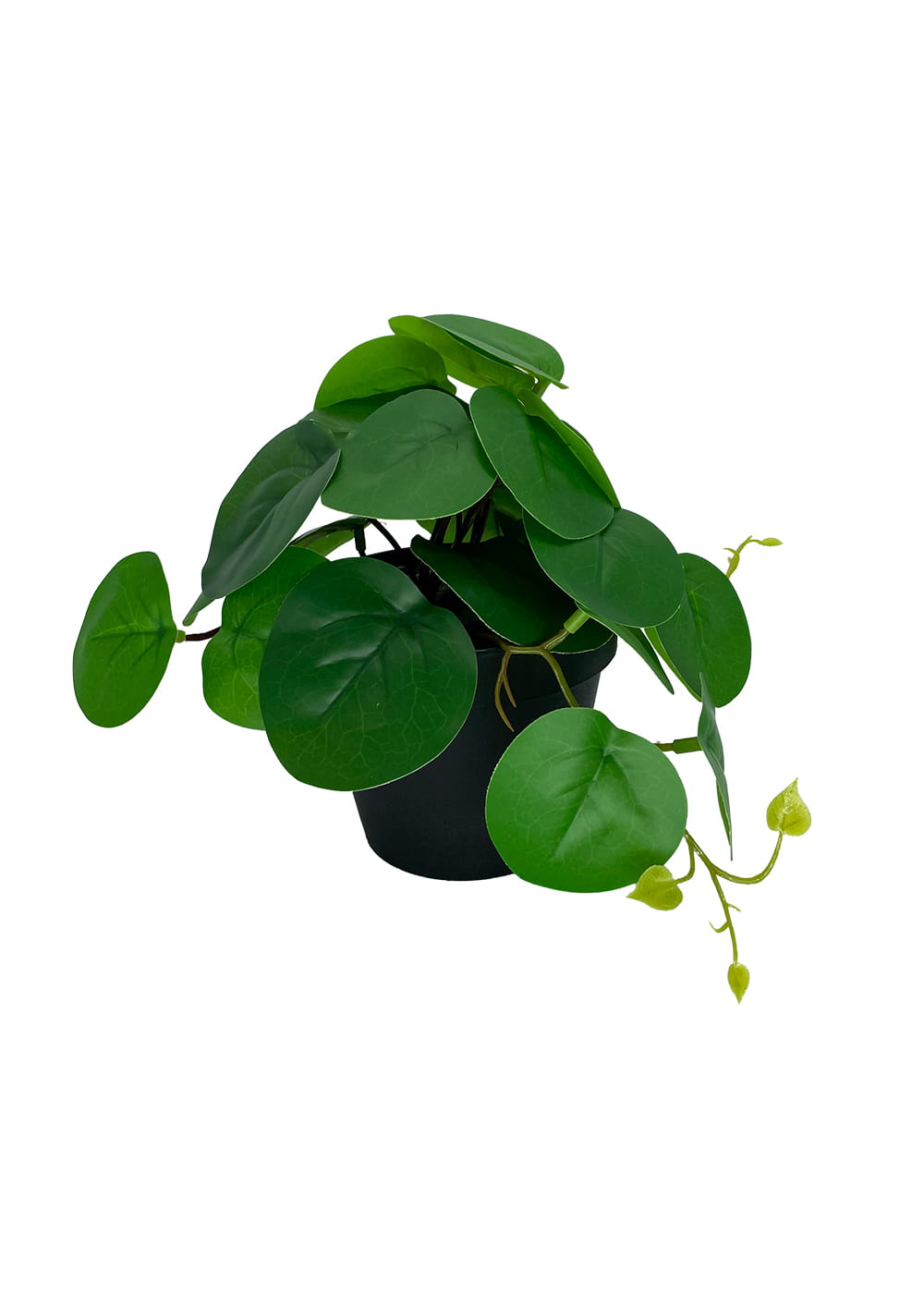 Plante Pilea artificielle 20 cm – Green Designers