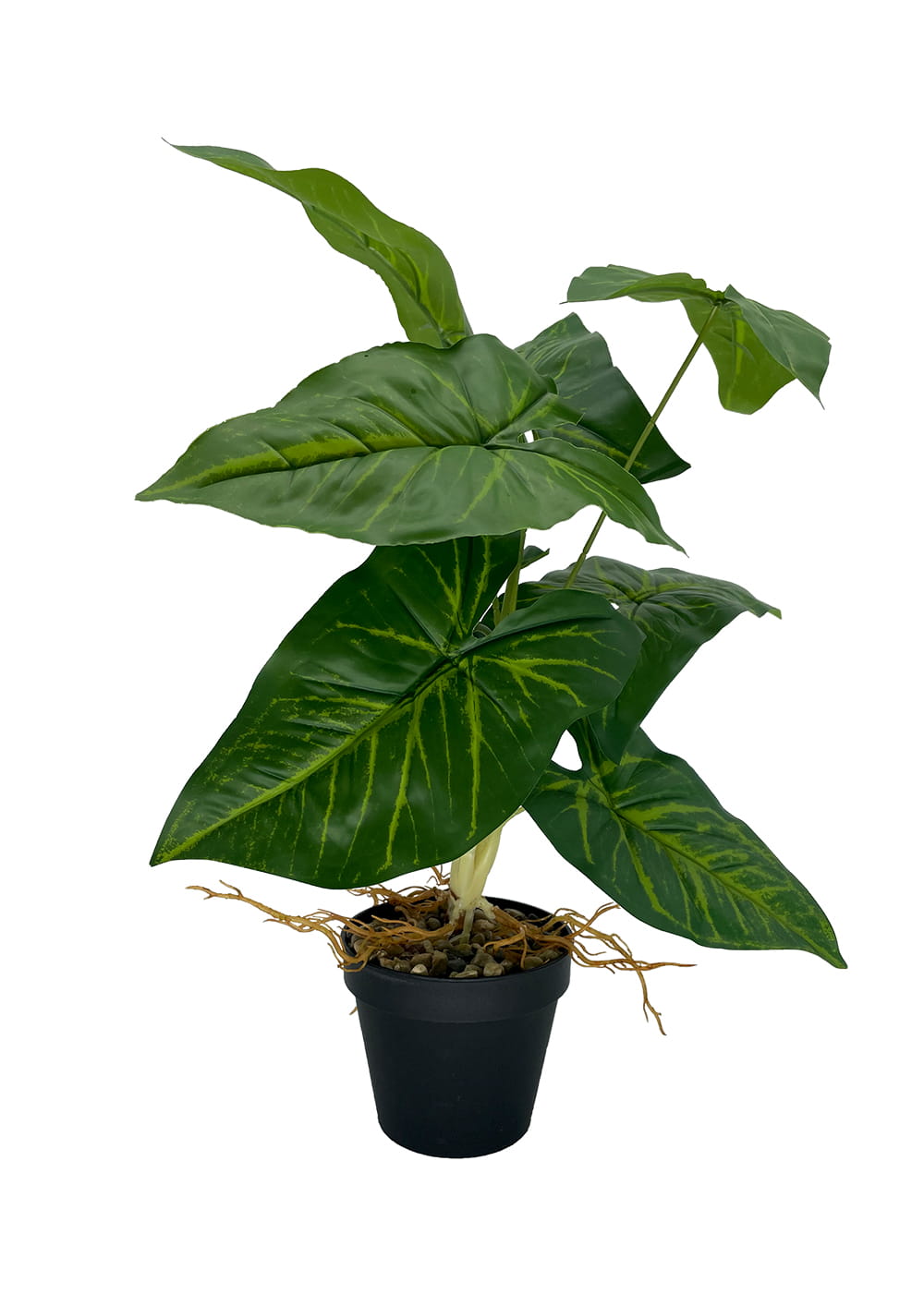 Plante Syngonium artificielle 50 cm – Green Designers