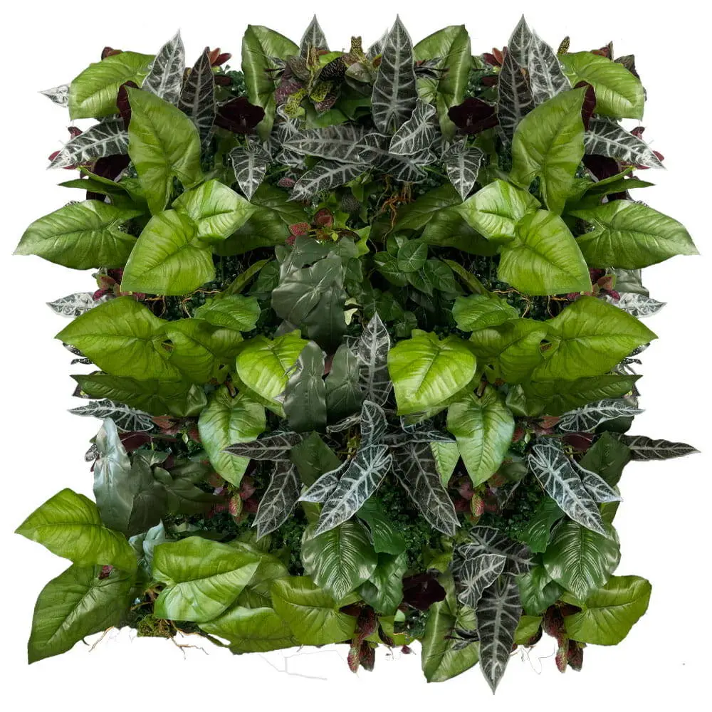 Jardin vertical du sommet Catalpa – Green Designers