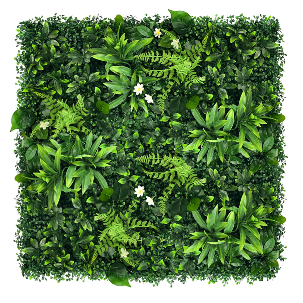 Mur végétal Orchidée 50x50cm – Green Designers